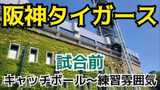 【試合前】 #阪神タイガース  キャッチボール 練習雰囲気 スタメン発表前まで #阪神甲子園球場 24.7.5.