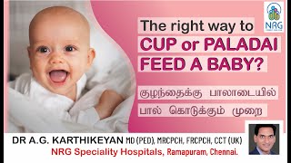 How to cup or paladai feed a baby? Learn the correct technique. குழந்தைக்கு பால் கொடுக்கும் முறை