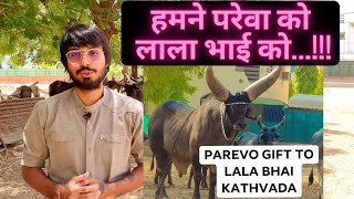 हमने परेवा को लाला भाई को भेंट (Gift) कर दिया है...!!! |We Gift Pareva To Lalabhai Kathvada #pareva