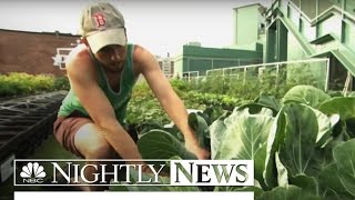 Fenway Farms: Boston Red Sox Go Green With Rooftop Garden | NBC Nightly News