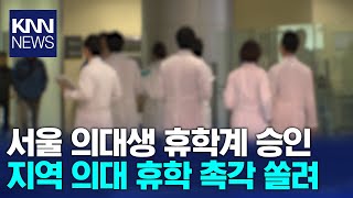 '서울의대 휴학 승인'..부산대 교수회 촉구문 발표/ KNN