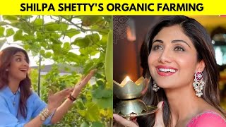 Shilpa Shetty's  organic Farming, Latest Video, Instant Bollywood