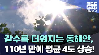 갈수록 더워지는 동해안, 110년 만에 평균 4도 상승! 20240816