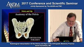 Radiological Interpretation of the Pelvis and Hips in the Orthopedic Medicine Practice