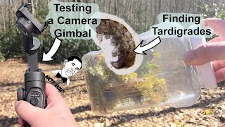 How to find Tardigrades (While Testing a Camera Gimbal) #microscope #tardigrade #microbiology