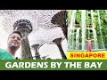 Exploring Singapore's famous Gardens By The Bay | See Cloud forest & Flower dome | SG with family