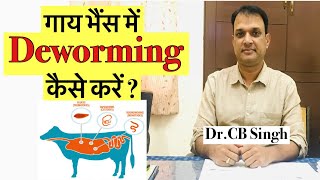 गाय भैंस की Deworming कैसे करें | गाय भैंस में पेट के कीड़े मारने की दवा | Dairy Ustaad