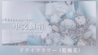 【台湾】「ドライフラワー」Chinese ver. 乾燥花（中文翻唱）covered by. 白羽