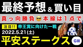 【平安ステークス2022】最終予想＆買い目について(競馬予想)