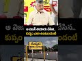 cm chandrababu naidu tour at kuppam ఆ విజన్ తయారు చేసిన.. కుప్పం ఎలా ఉంటుందంటే big tv