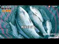 釣魚狂人4k紀錄片 大甲溪釣魚不睡症，霞面苦花石斑阿嫲，一夜沒睡 奔走三釣點，釣況全記錄 stream fishing taiwan