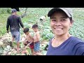 Happy nagbonding my family harvest time repolyo #ownfarm #vegetable #repolyo