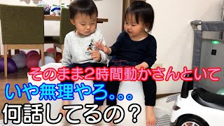 ベンチに腰掛けツイントーク！何話してるのかな？