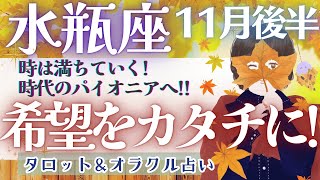 【水瓶座】見逃し注意!! 『変容の星、冥王星 11/20 水瓶座入り』超シンクロする重要メッセージ🌟✨【仕事運/対人運/家庭運/恋愛運/全体運】11月運勢  タロット占い