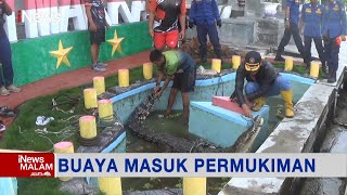 Evakuasi Buaya Seberat 400 KG dari Permukiman Warga Kab. Kotabaru, Kep. Riau #iNewsMalam 10/10