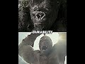 George [Rampage] vs King Kong [2005] | #shorts #edit