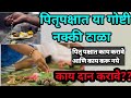 पितृपक्षात या गोष्टी करू नका | pitrupakshat ky krave aani ky kru naye #pitrupaksh