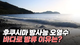 [핫클립] 후쿠시마 방사능 오염수는 어떻게 생겨났을까? / YTN 사이언스