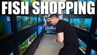 I went to another NEW fish store