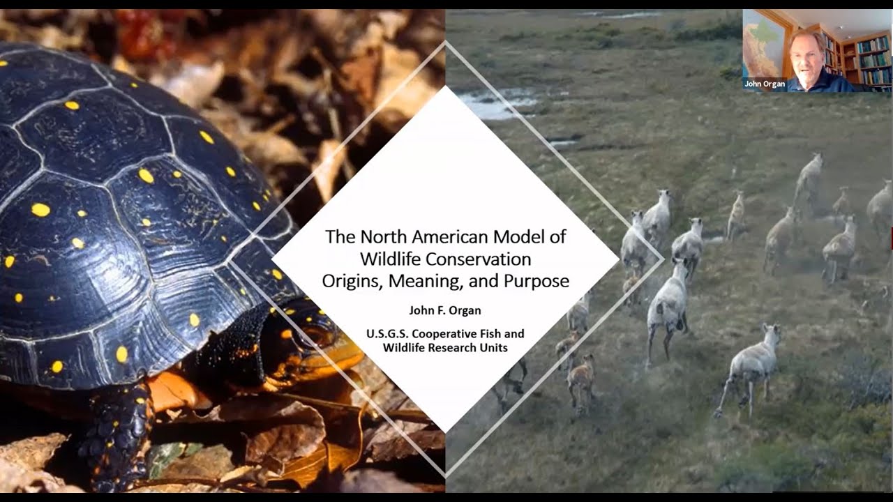 The North American Model Of Wildlife Conservation: Origins, Meaning ...