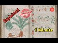 Voynich Manuscript Explained in 1 minute | Tamil | Mystery | Unexplained | Madan Gowri | D11K4 Facts