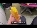 퇴사 전 몰래하는 치과 asmr 치과에서의 마지막 영상