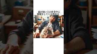 ちょw猫の秘密が可愛すぎww猫知って損しない秘密10選🤫