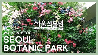 [4K] Walking in Seoul Botanic Park  /  서울식물원 온실 랜선투어 탐험