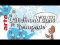 L' allemand dans le monde - Karambolage - ARTE