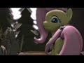 flutterwonder sfm