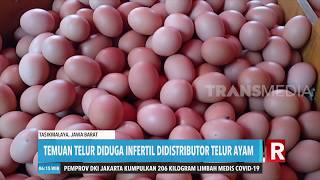 Heboh Telur Infertil | REDAKSI PAGI (18/06/20)