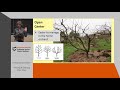 Pruning Fruit Trees - OSU Master Gardeners