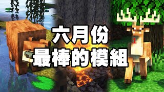 Minecraft 最棒的 10 個新模組：螢火蟲登場！銅...你終於變的有用了【2022 六月】【紙片模坊】