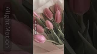 Tulips #aesthetic #flowers #trend #fypシ゚ #viralshorts #shorts #trending #aestheticedits #edit #song