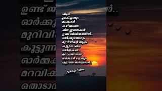 ചിലർ നമ്മുടെ ജീവിതത്തിൽ നിന്നും പോയാലും അവരുടെ ഓർമ്മകൾ നമ്മിൽ മരിക്കുന്നില്ല | Nostalgic Vibezz