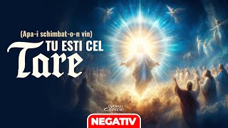 Negativ - TU ESTI CEL TARE (Apa-i schimbat-o-n vin) - Andrei Stoica 2024