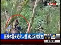 難得邂逅 藤枝森林休園 黑熊現蹤