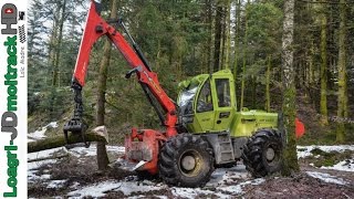 Débardage de Bois | NEW WF Trac 2040 !!!