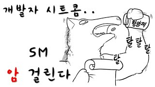 개발자 시트콤 암걸린다