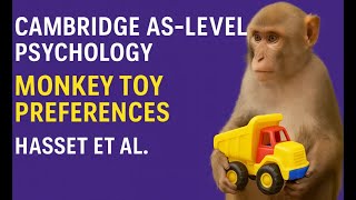 Monkey Toy Preferences