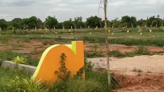 Agiripalli Chopparametla via Nuzvid Road Site Plots \u0026 Houses