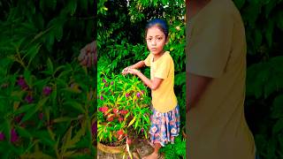 এই বাড়ি যাবিনা #short #trending #video