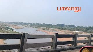 பாலாறு பாலம்/Paalaru Bridge/Chengalpattu #greenland #Paalaru #naturelovers #Nature #farming