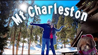 A Quick Getaway to Mt Charleston / Cabin Tour ♡