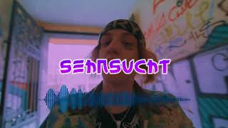 T-Low Type Beat [FREE] | "Sehnsucht" | guitar Type Beat 2022
