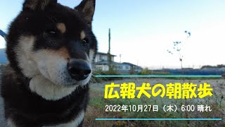 「便利な田舎コンビニエンスザカ」広報犬の朝散歩〈長野県須坂市への移住相談は信州須坂移住支援チームへ〉