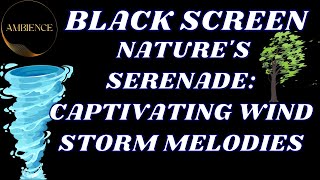 Nature's Serenade: Embracing the Soothing Sounds of a Majestic Wind Storm- Black Screen