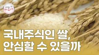 [내외경제TV] 국내주식인 쌀, 안심할 수 있을까