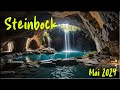 ♑ Steinbock - Mai 2024 ♑  -  Anziehungskraft  -