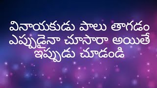 వినాయకుడు పాలు తాగుతున్నారు చూడండి